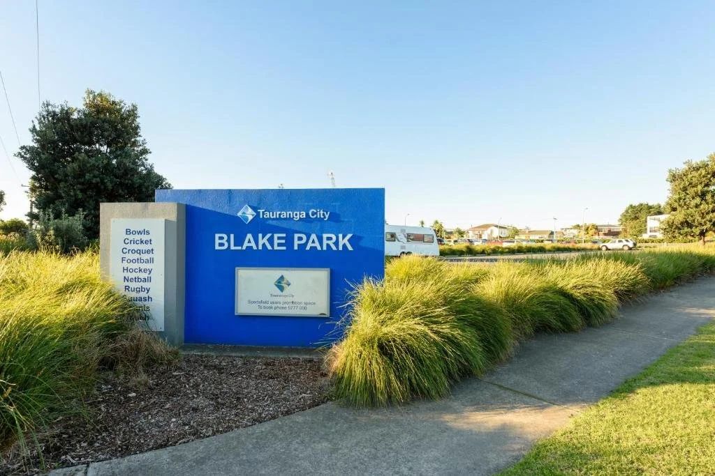 Blake Park Future State Report